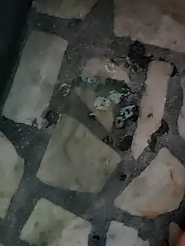 diljaan51 online show from 03.26.26