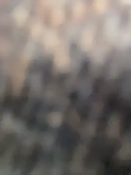 Anitta  LS online show from 04.02.26