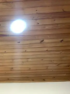 -Zoe Jack- online show from 04.08.26