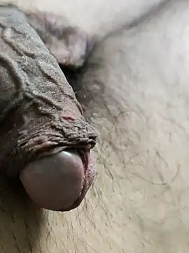 Prasad Niku online show from 03.20.26