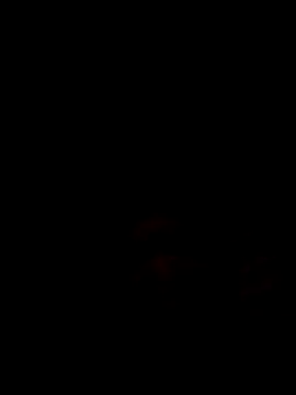 neciosex online show from 03.25.26