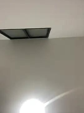 ELY FE online show from 04.07.26