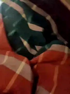 DeshiTiger online show from 04.14.26