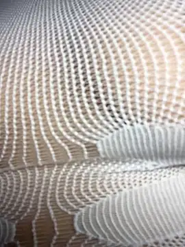 Jill valen online show from 04.15.26