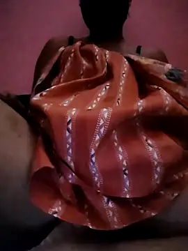 Delhi-Patola online show from 03.24.26