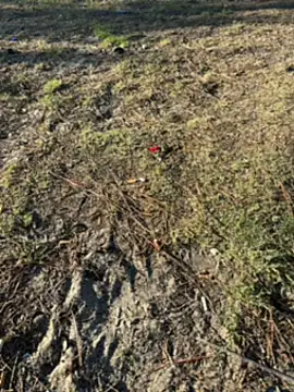 Snapshot of Kadenj92 chatting on 04.04.26 Kadenj92 online show from 04.04.26