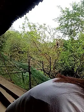 meg 06 online show from 03.27.26