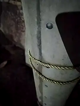 deshi girl 2007 online show from 04.06.26