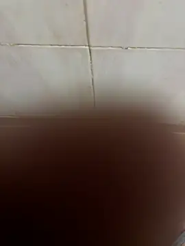 SingleBoy66666 online show from 04.06.26