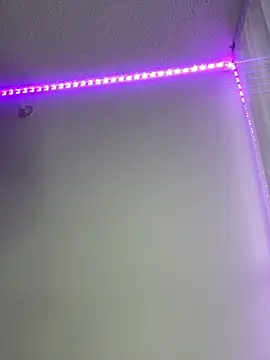 LYAN DYLAN online show from 04.04.26