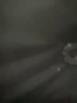 Snapshot of Lola666999 chatting on 04.05.26 Lola666999 online show from 04.05.26