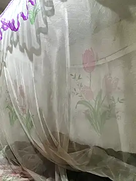 Snapshot of he-se-kin chatting on 04.11.26 he-se-kin online show from 04.11.26