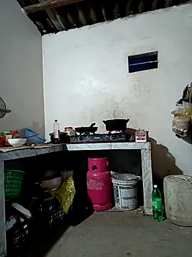 Aurora Nova online show from 04.15.26