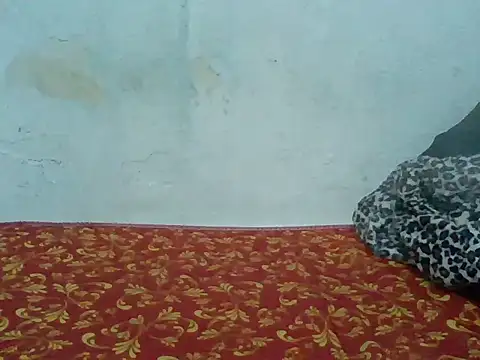 Rato250 online show from 04.08.26