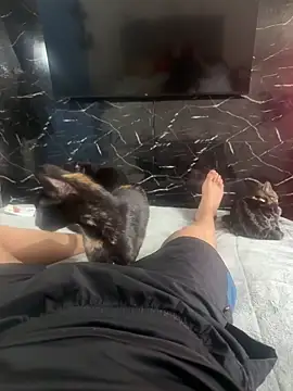 DRYX XX online show from 04.15.26