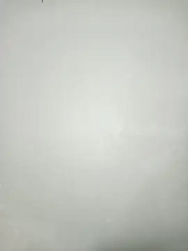 Rosesarem online show from 03.31.26