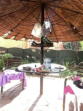 DarkChocolateSlender  online show from 04.01.26