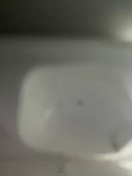 scarlett turner  online show from 04.09.26