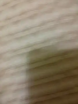 SteedyGee online show from 04.15.26