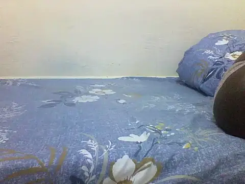 chauke2345 online show from 04.11.26