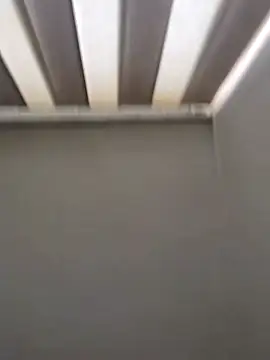 maia lion online show from 04.16.26