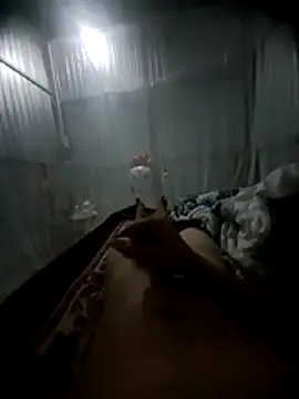 raise559 online show from 04.10.26