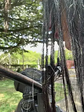 SofiParma online show from 03.31.26