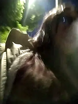 martina 7 online show from 04.11.26