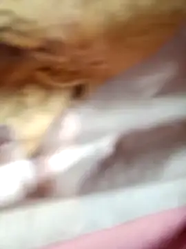 -Bianmi- online show from 04.05.26