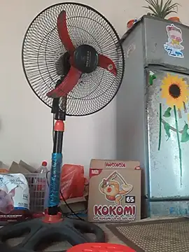 -Bianmi- online show from 04.09.26