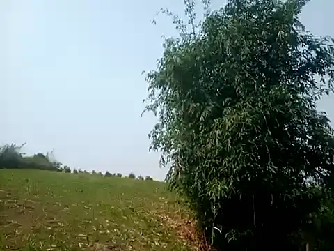 jikey-bibi online show from 04.13.26