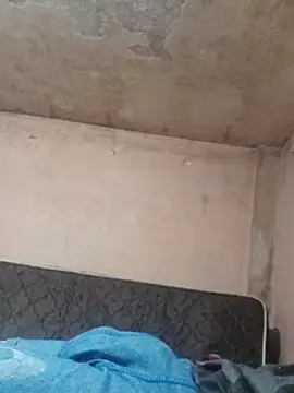 Alcon347 online show from 04.08.26