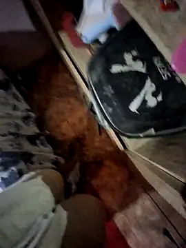 Matheus Enrique online show from 04.15.26