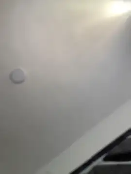 Alison parkerrr online show from 04.15.26