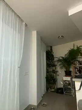 zensorial online show from 04.23.26