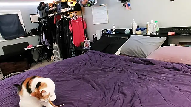 PolyCircus online show from 04.12.26