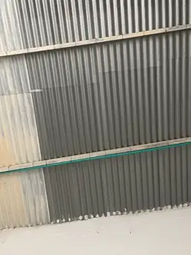 Snapshot of RAMONA_and_ROGER chatting on 04.16.26 RAMONA and ROGER online show from 04.16.26