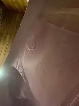   Sunflower   online show from 04.11.26