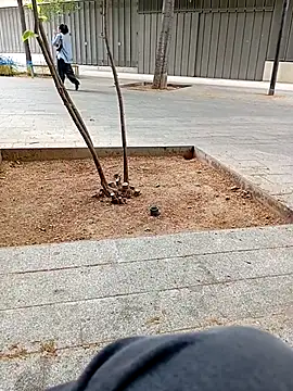 Snapshot of biga00 chatting on 04.11.26 biga00 online show from 04.11.26