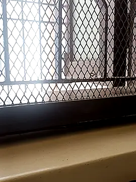 billboyhoney online show from 04.08.26