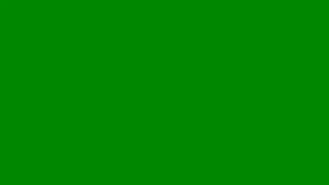 AshleyFerreer online show from 05.14.26