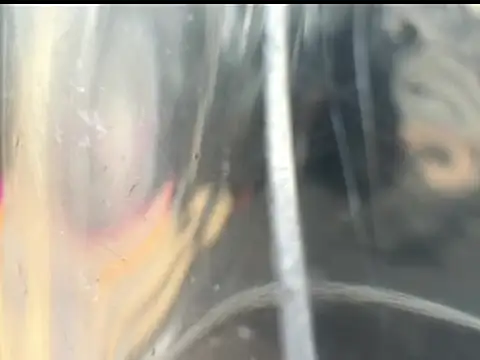 jake 1boy online show from 04.16.26