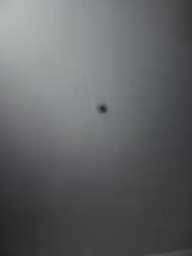 ariella 11 online show from 04.16.26