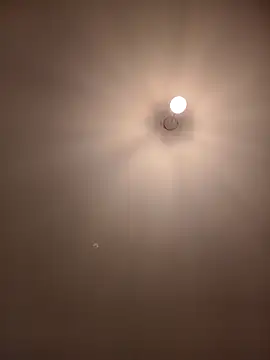 Dietosca online show from 04.13.26