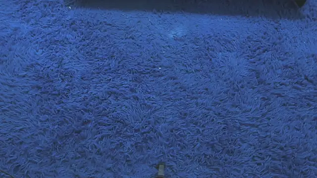 Snapshot of Mia-collins01 chatting on 04.15.26 Mia-collins01 online show from 04.15.26