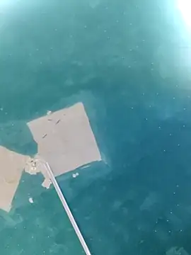 maicol6699 online show from 04.18.26