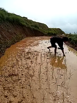 LucyBri01 online show from 04.18.26