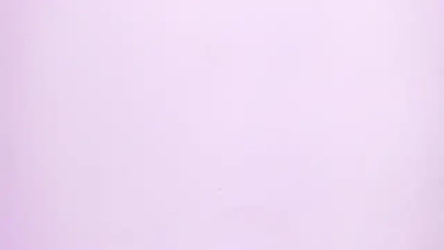 Natasha028  online show from 06.02.26