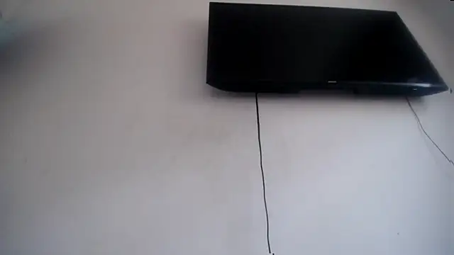 Fox Loves online show from 07.17.26