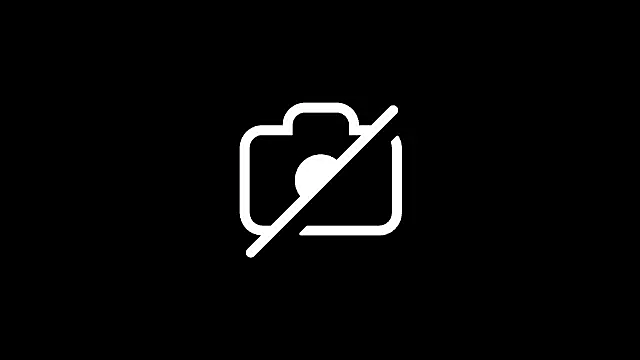 Tiny Member online show from 06.15.26